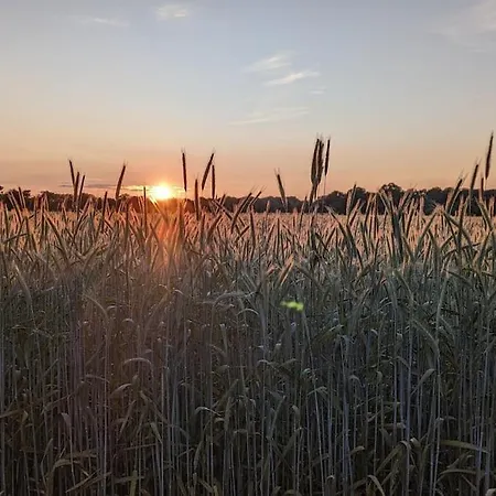 Dorfplaetzchen Apartman *