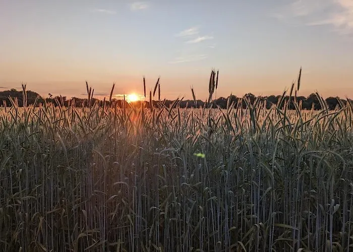 Dorfplaetzchen Apartament *